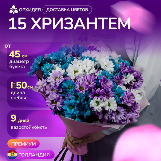 15 хризантем микс краш
