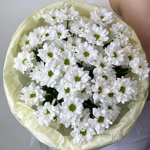 Букет из 7 кустовых ромашек