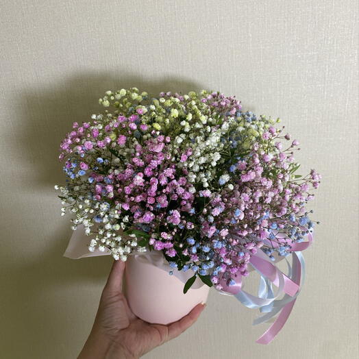 Композиция"Гипсафилка"