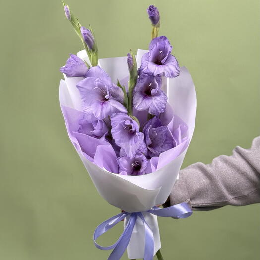 Лето 56