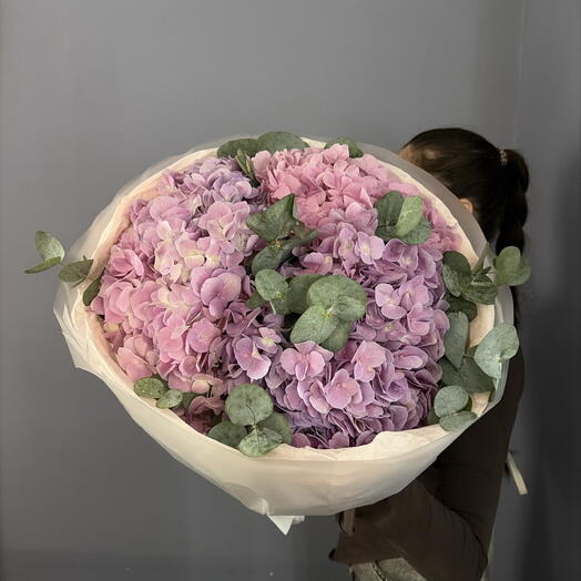 Лиловая гортензия