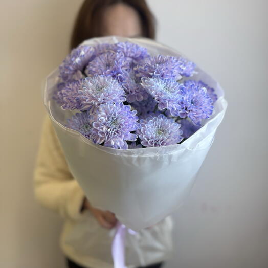 Фиолетовые кустовые хризантемы 💜