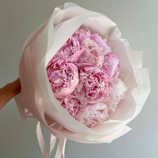 Peony Signature Edition