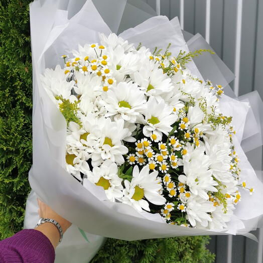 Хризантема, матрикария🌼