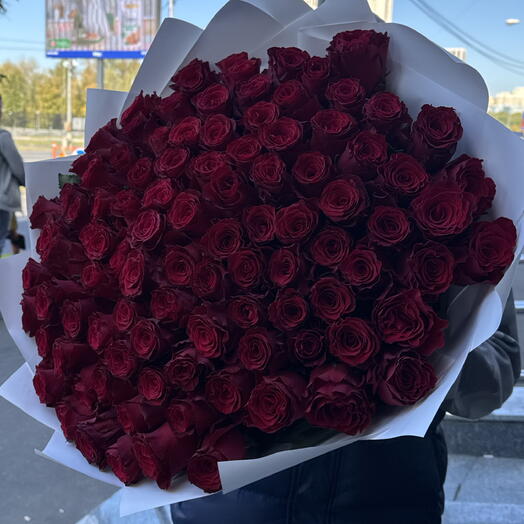 Крупная бордовая Роза