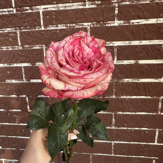 Flowers for you