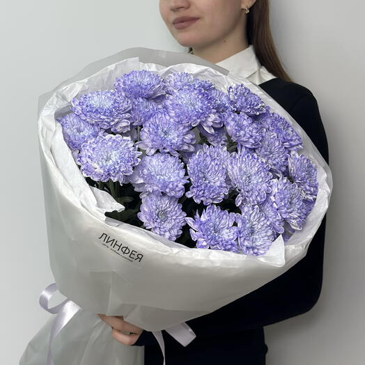 Букет лавандовых кустовых хризантем, 5шт