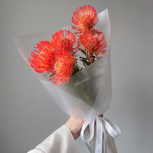 Монобукет с 5 экзотическими африканскими нутанами от XOFLOWERS