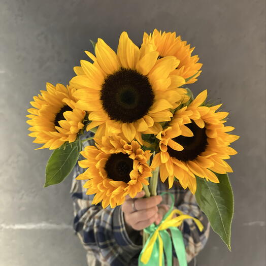 Подсолнухи под ленту🌻