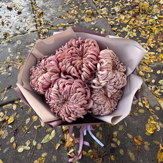 5 хризантем Виена сиреневых