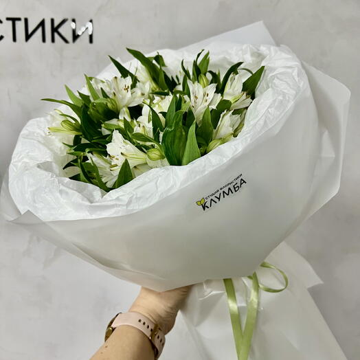 Белоснежное моно из альстромерии