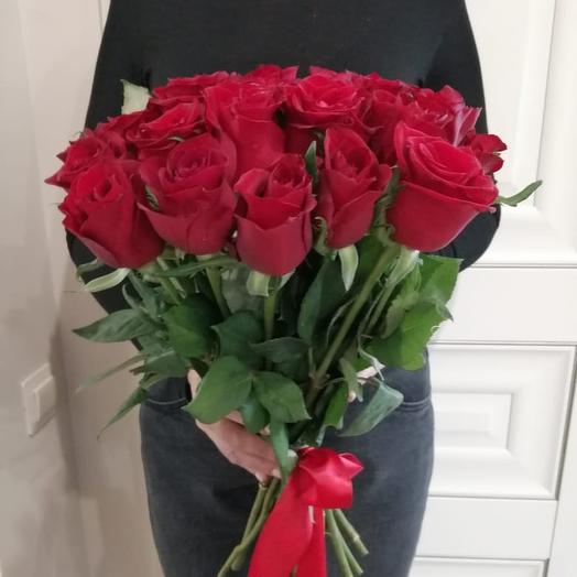 Rose Iver red