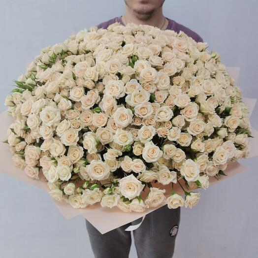 Ramo de 101 rosas de arbusto