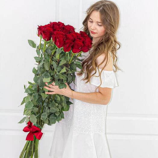 15 meter roses of the Explorer variety