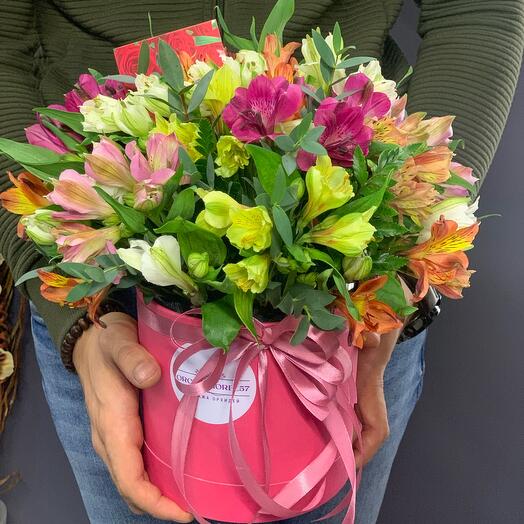 Alstroemeria in a box