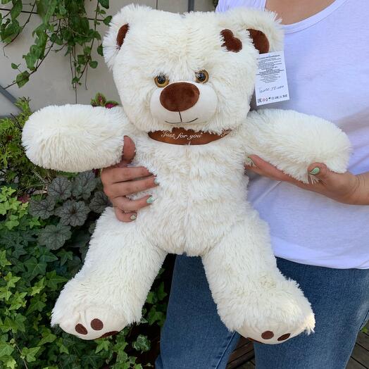 Bear 55 cm