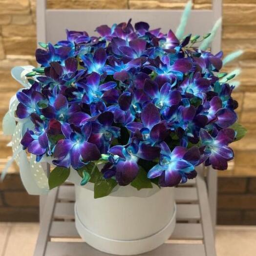 Яскрава коробка з орхідеями