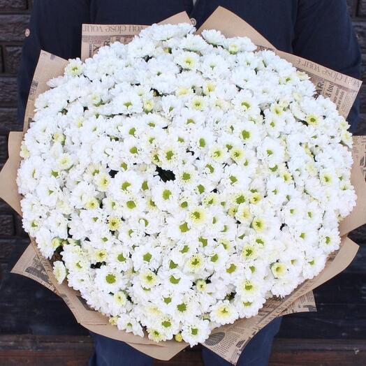 Bouquet of daisies