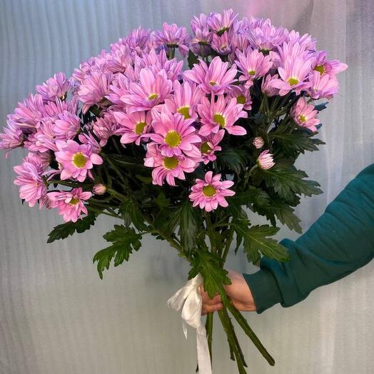 Bouquet of pink chrysanthemums