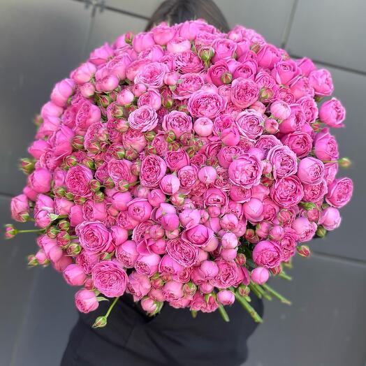 101 rosas de peonía