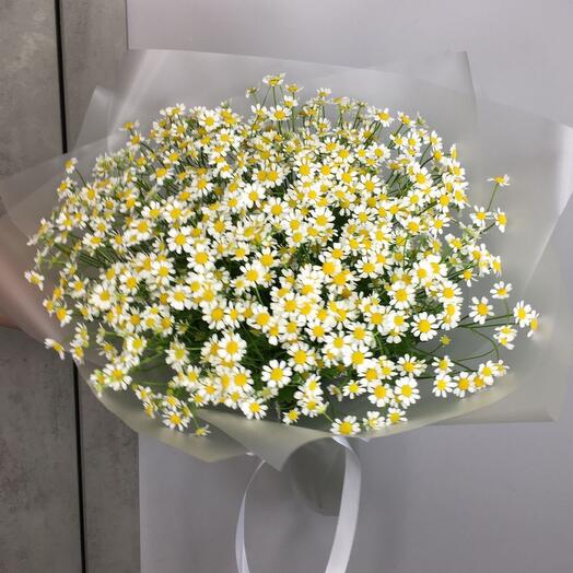 Wild flowers