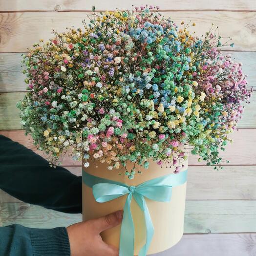 Caja de gypsophila de color grande