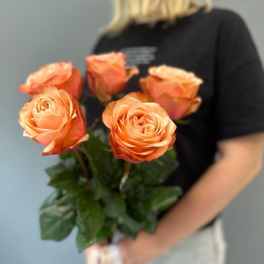 5 rosas de CORAL (Ecuador )