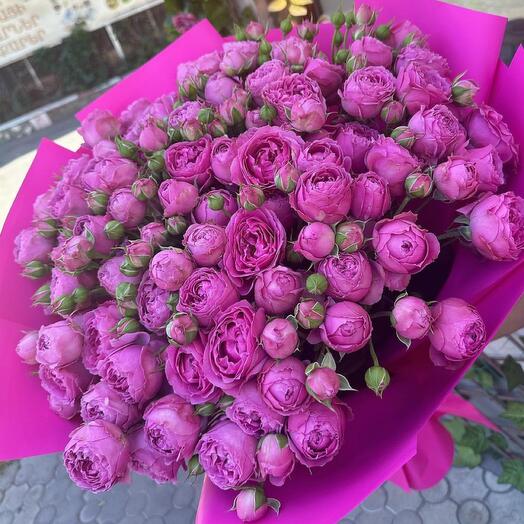 Peony pink roses
