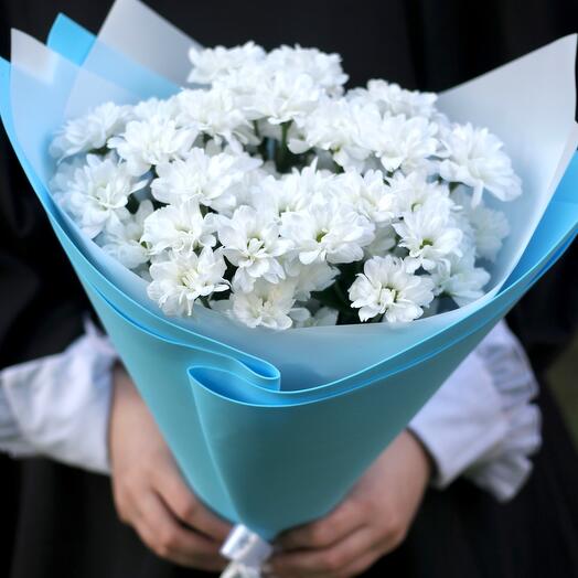Bush chrysanthemums