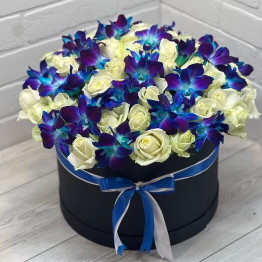 Color del estado de ánimo azul