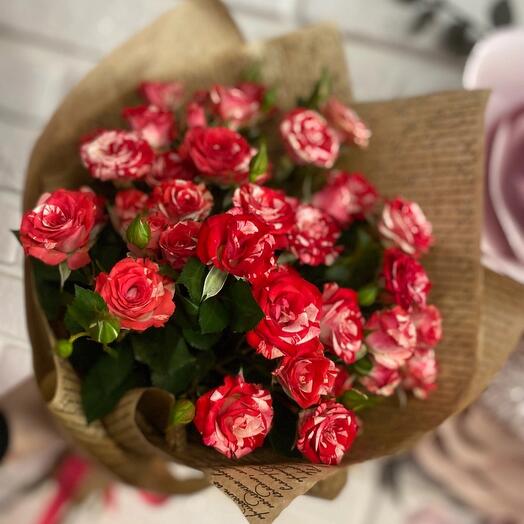 5 bush roses