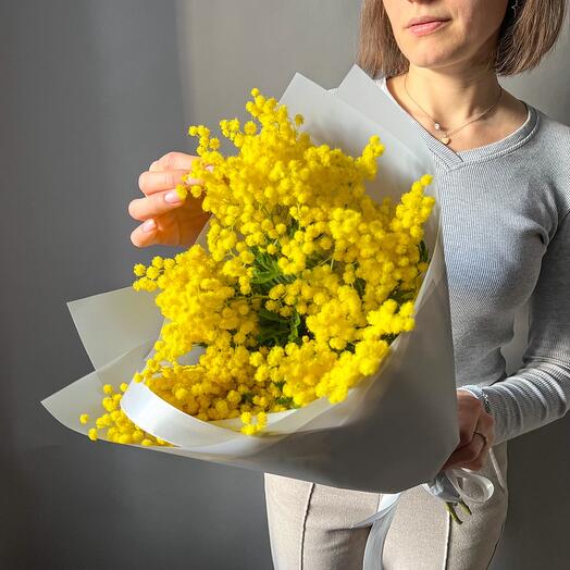 Весенняя мимоза итальянская. Veresk 101