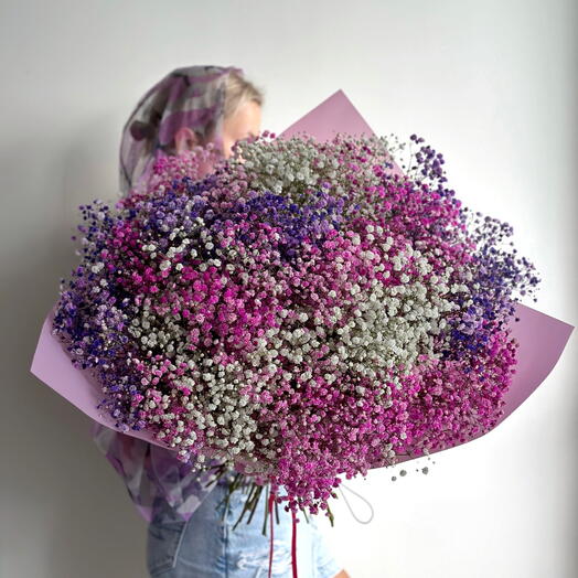 Райдужні гіпсофіли