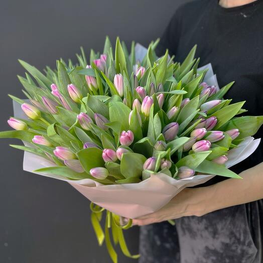101 Тюльпаны нежно розовые🌷