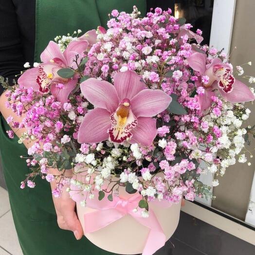 Квіткова коробка Цимбідіум