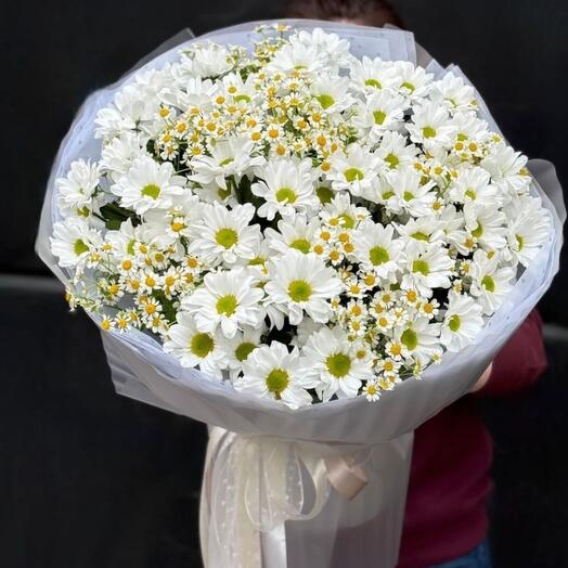 Daisies for a favorite