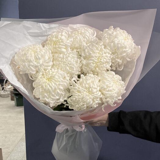 Пышные хризантемы