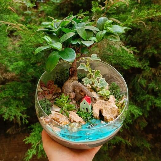 Florarium with bonsai in the sphere of L
