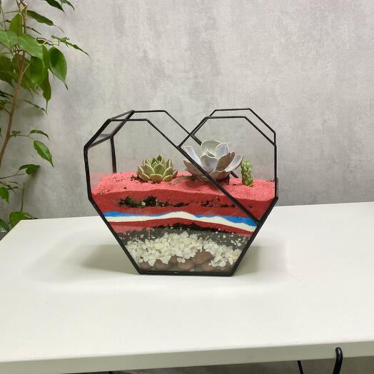 Суккуленты 3шт в флорариуме "Сердце"