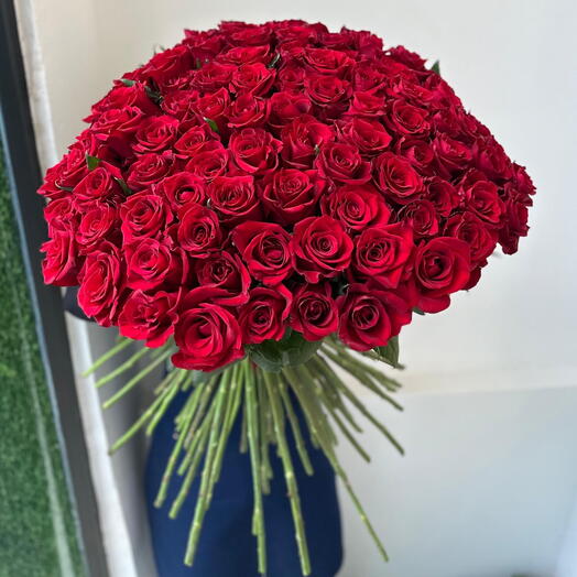 101 rose