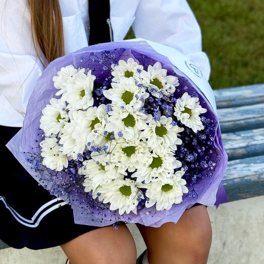 Хризантемы , гипсофила