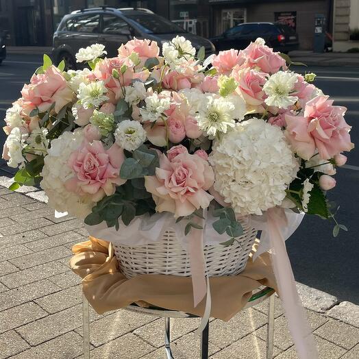 Soft Basket Xxl