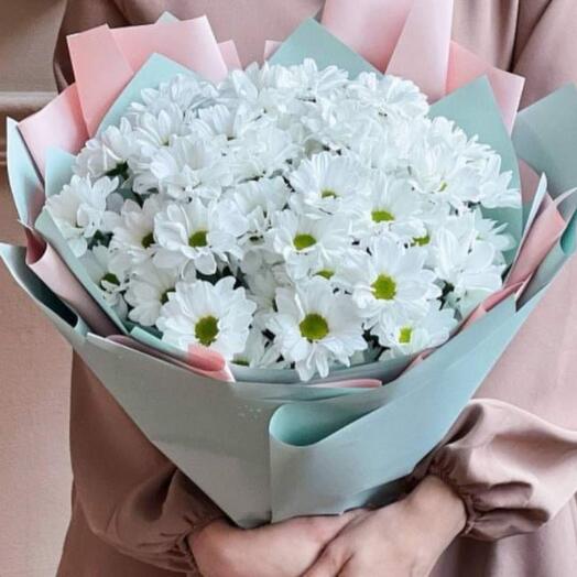 Dutch chrysanthemums