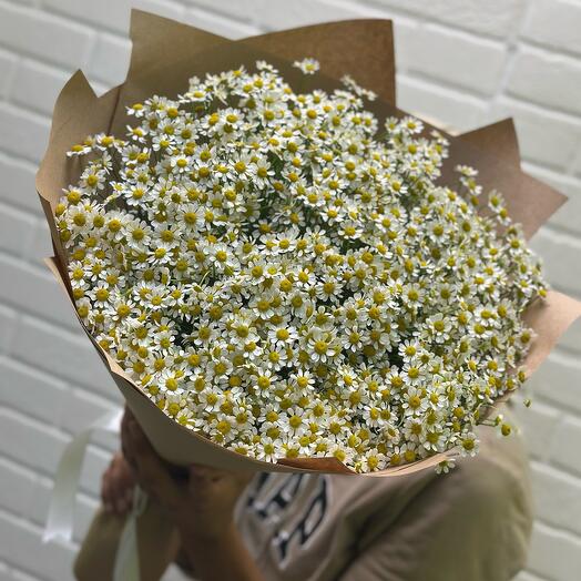 Букет из 27 ромашек