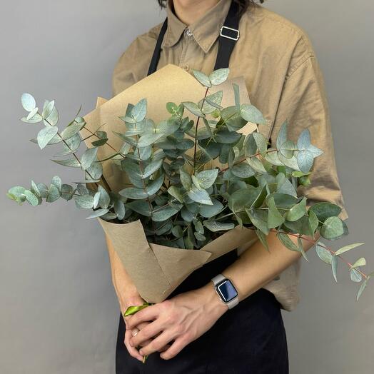 Букет из ароматного эвкалипта