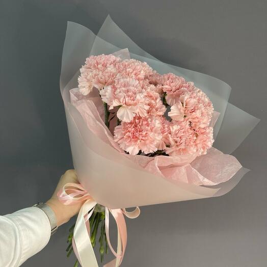 Прекрасные диантусы