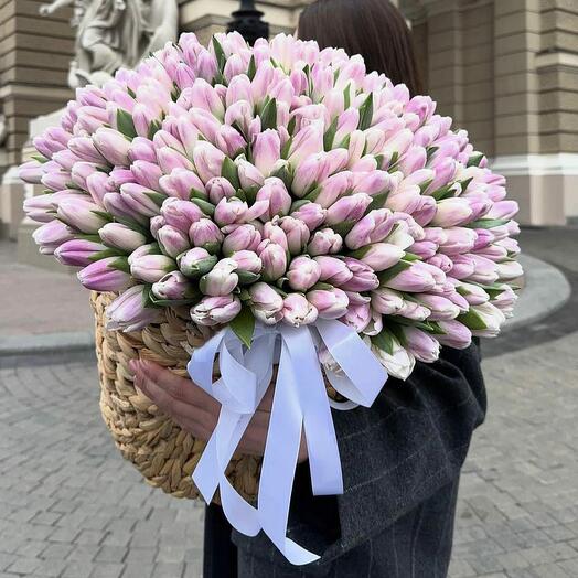 Тюльпаны в коробке 201 тюльпан