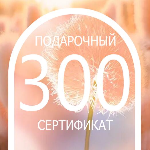 ПОДАРОЧНЫЙ СЕРТИФИКАТ на 300 рублей на индивидуальный заказ