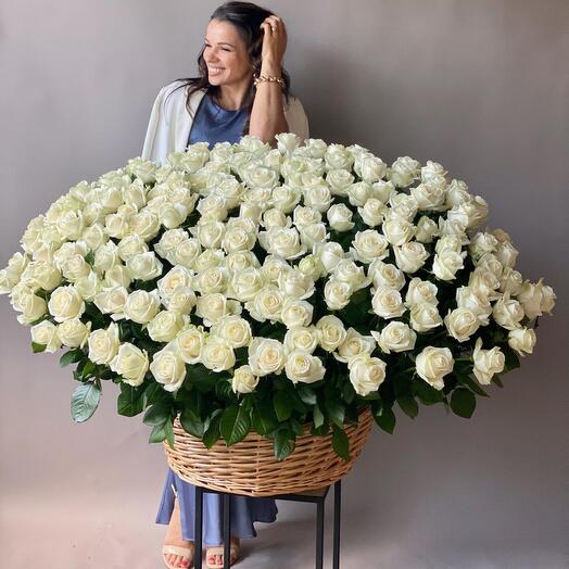 Корзина с цветами 201 Роза