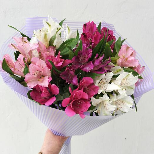 Alstroemeria